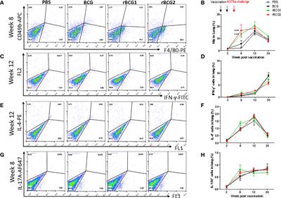 Corrigendum: Activation of M1 Macrophages in Response to Recombinant TB Vaccines With Enhanced Antimycobacterial Activity